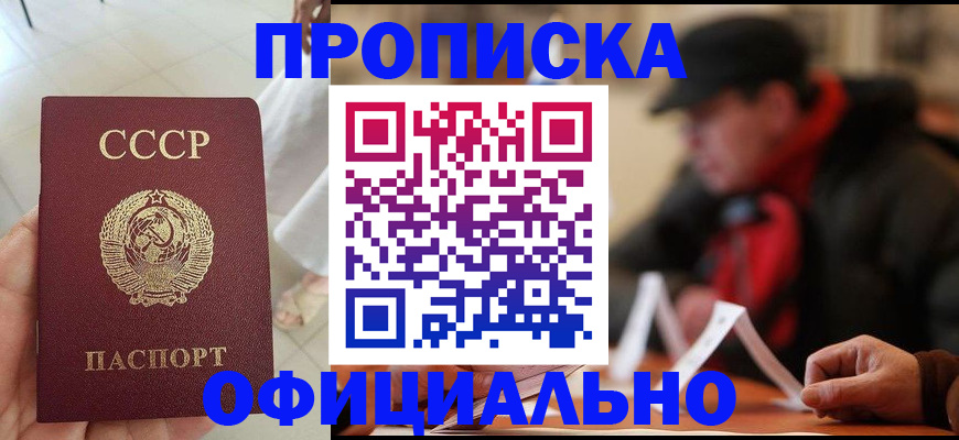 временная регистрация для школы в Новодвинске
